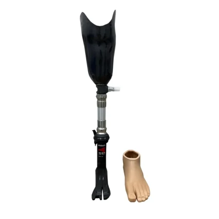 Below-knee prosthetic limb with silicone, lock, and carbon foot